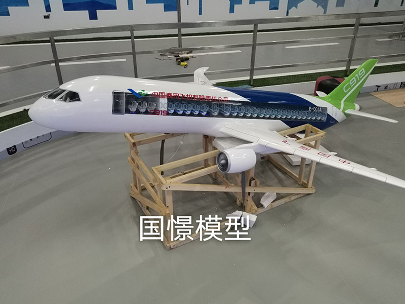 随县飞机模型