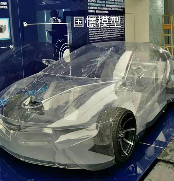 随县透明车模型